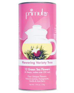 Primula Gift Set of 12 Assorted Green Tea With Fresh Jasmine Flowers