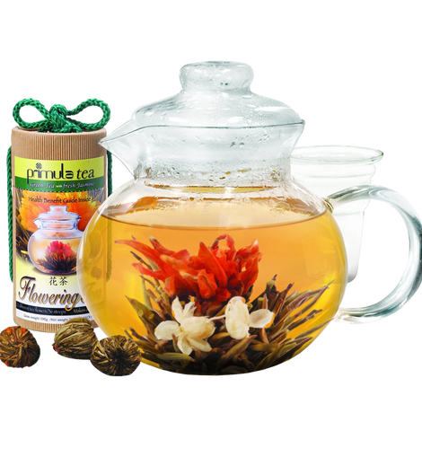 Primula (12) Assorted Green Tea Flowers & Teapot Set 